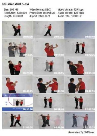 Sifu Niko Wing Tsun Series Vol 1-6 7-9 Gösel Eğitim Seti