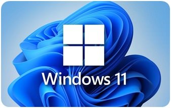 Windows 11 Pro Türkçe (Ön İzleme Sürümü 22000.51)